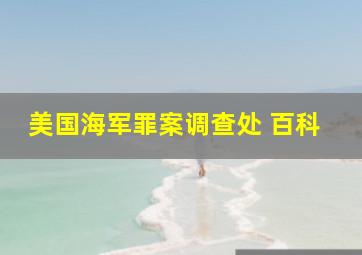 美国海军罪案调查处 百科